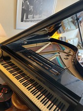 Klavier Flügel Blüthner