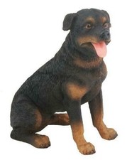 YTC Rottweiler Dog -