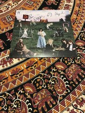 The Last Dinner Party ‎From