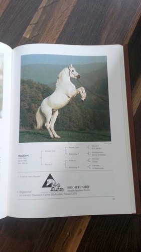 Araber hengstbuch europa 1984 - araber,