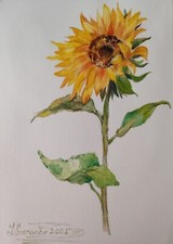Aquarell bild 29 - bild, 21*29(a4)