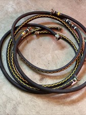 Wasserschlauch Goldschlange