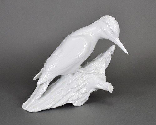 Rosenthal specht vogel bird - rosenthal,