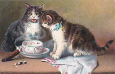 Konvolut antike Ansichtskarten 1904 Katzenmotive  4 Stück gelaufen  Adelige Adr!