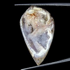 50.70Cts Natürlich Fossil