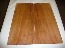 Tonholz Apfeldecke/ -boden; 51 x 45 bis 48 x 0,5cm; Artnr 64