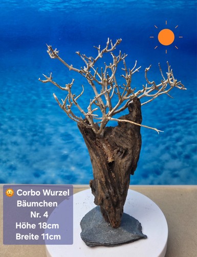 Top aquarium corbo - top,