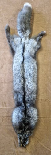 Fuchsfell blaufuchs bluefrost - fuchsfell,