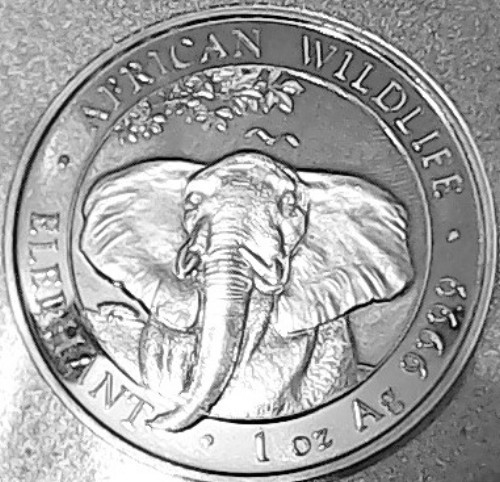 Silbermünze somalia elefant - silbermünze,
