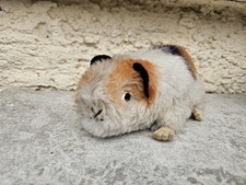 Steiff Meerschweinchen Swinny