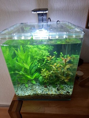 Dennerle nano cube complete - cube, 30