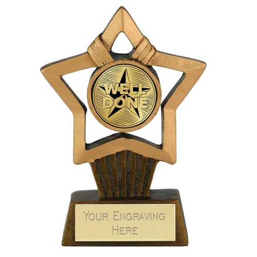 Well done star award mini - well,
