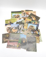 Penny Belauschte Welt der