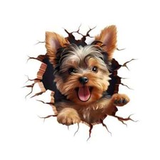 Yorkshire terrier tier - terrier,