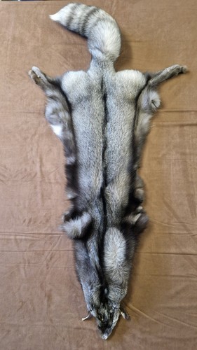 Fuchsfell blaufuchs bluefrost - blaufuchs,