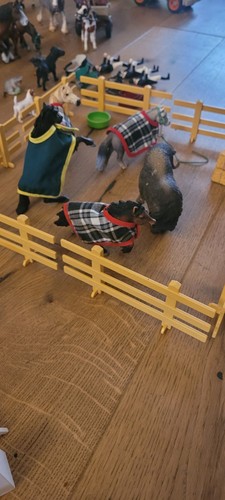 Schleichtiere konvolut - schleichtiere,