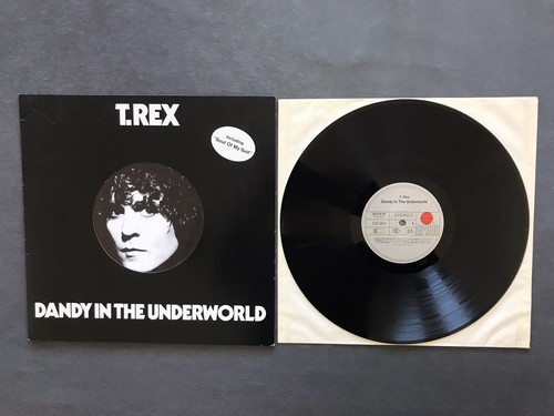 Rex dandy in the - t.,
