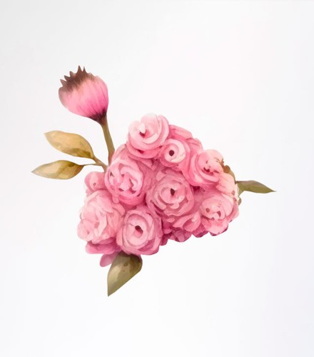 Rosa blume wandbild bunte - blume,