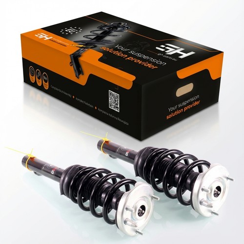 Komplett stoßdämpfer - 2x,