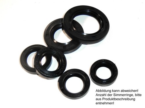 Wellendichtring satz motor - wellendichtring,