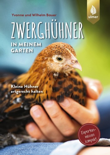 Zwerghühner meinem garten - in,