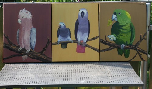 Papageien leinwand öl - papageien, ,leinwand,