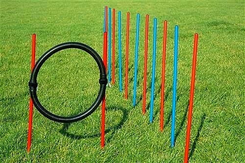Agility übungs set - blau, /