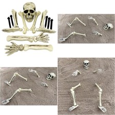 Skelett knochen spieße - knochen,