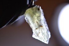 3,5ct 16x6x5 Moldavite Tektit Kette Jakule Czech Republic Gem Crazy Alien Stone