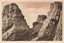 004188) AK Hamburg Stellingen Tierpark ungebraucht