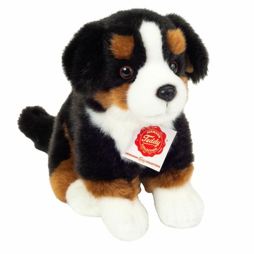 Teddy hermann berner - hermann,