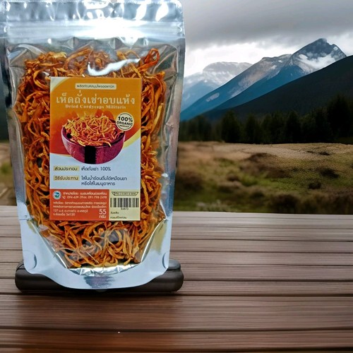 Cordyceps militaris bio - cordyceps,