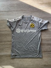 Borussia Dortmund 2017-18