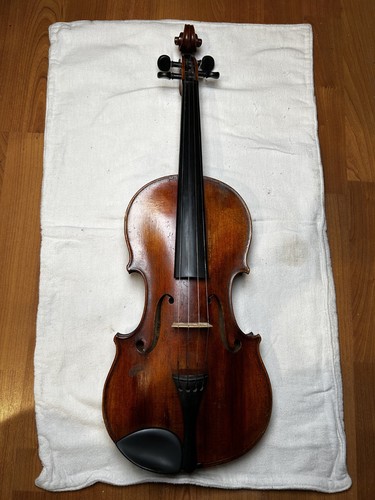 Geige violine mit - geige,