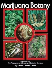 Marijuana botany advanced - marijuana,