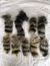 9 Waschbärschweife  Lunte