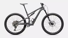 Specialized Stumpjumper 15