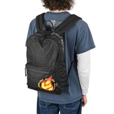 Etnies X Santa Cruz Flame