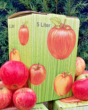 Apfelsaft naturtrüb 10L