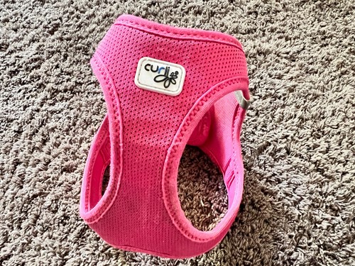 Knallpinkes curli - 💗🐾,