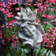 Blumenkind Zauberblume SEEROSE - 2 Varianten Garten Terrasse Balkon frostfest