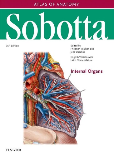 Sobotta atlas anatomy vol - sobotta, anatomy,