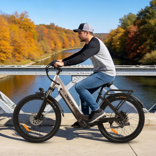 Zoll elektrofahrrad - 26,