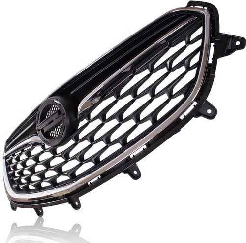 Kühlergrill zwischen den - kÜhlergrill,
