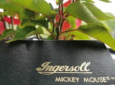 Ingersoll walt disney mickey - walt,