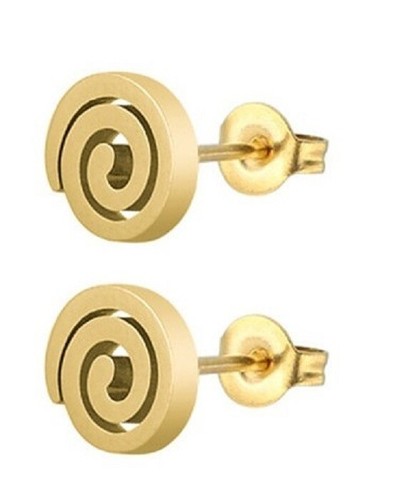 Titanium titan ohrstecker - titanium,