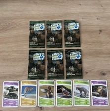 Ozeanien 2 Und 5 Netto