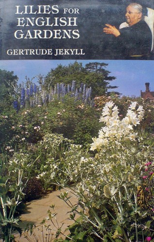 Lilies for english gardens - for,
