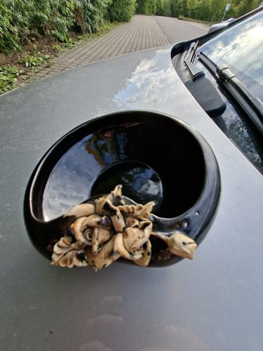 Schwarze keramikschale mit - schwarze,