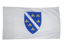 Fahne Bosnien alt 1992-1998 Flagge alte bosnische Hissflagge 90x150cm